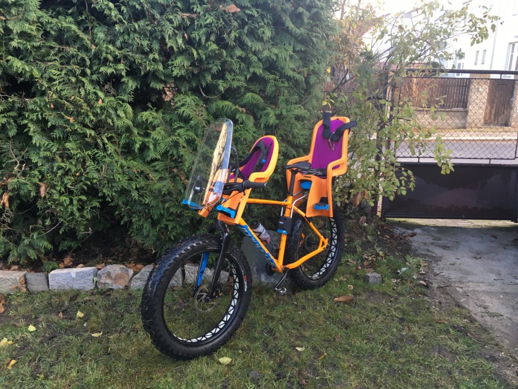 thule ridealong mini bicycle child seat