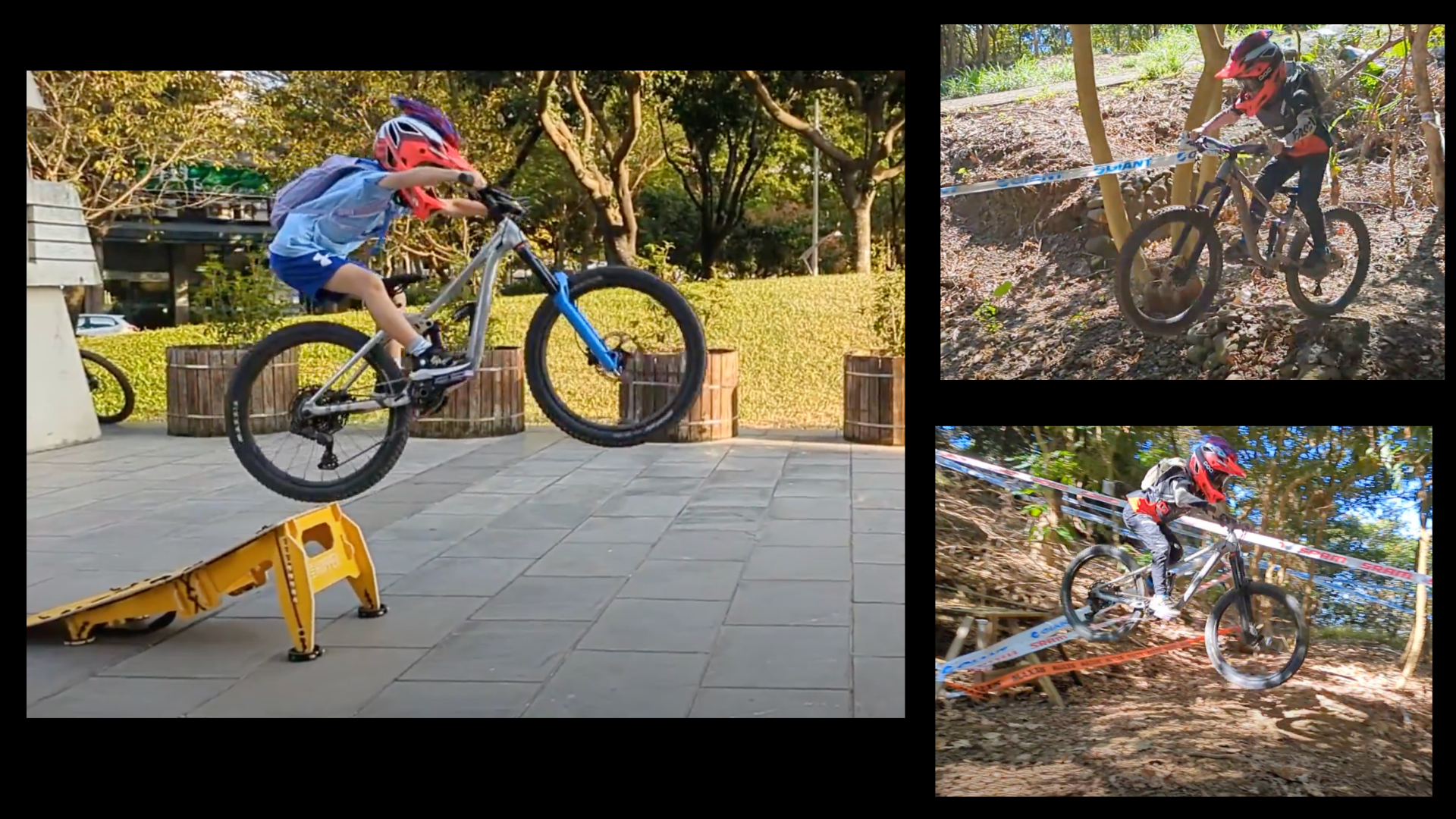 Shred (1)