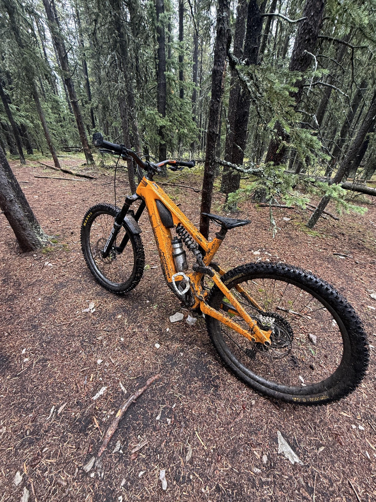 Loam Goat brake pads long-term review