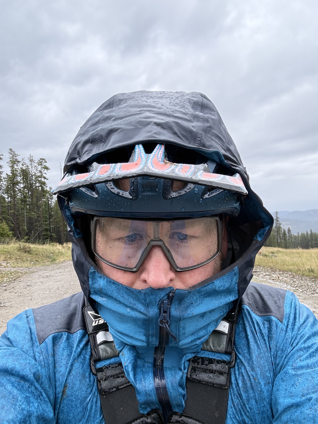 Loam Goat brake pads long-term review