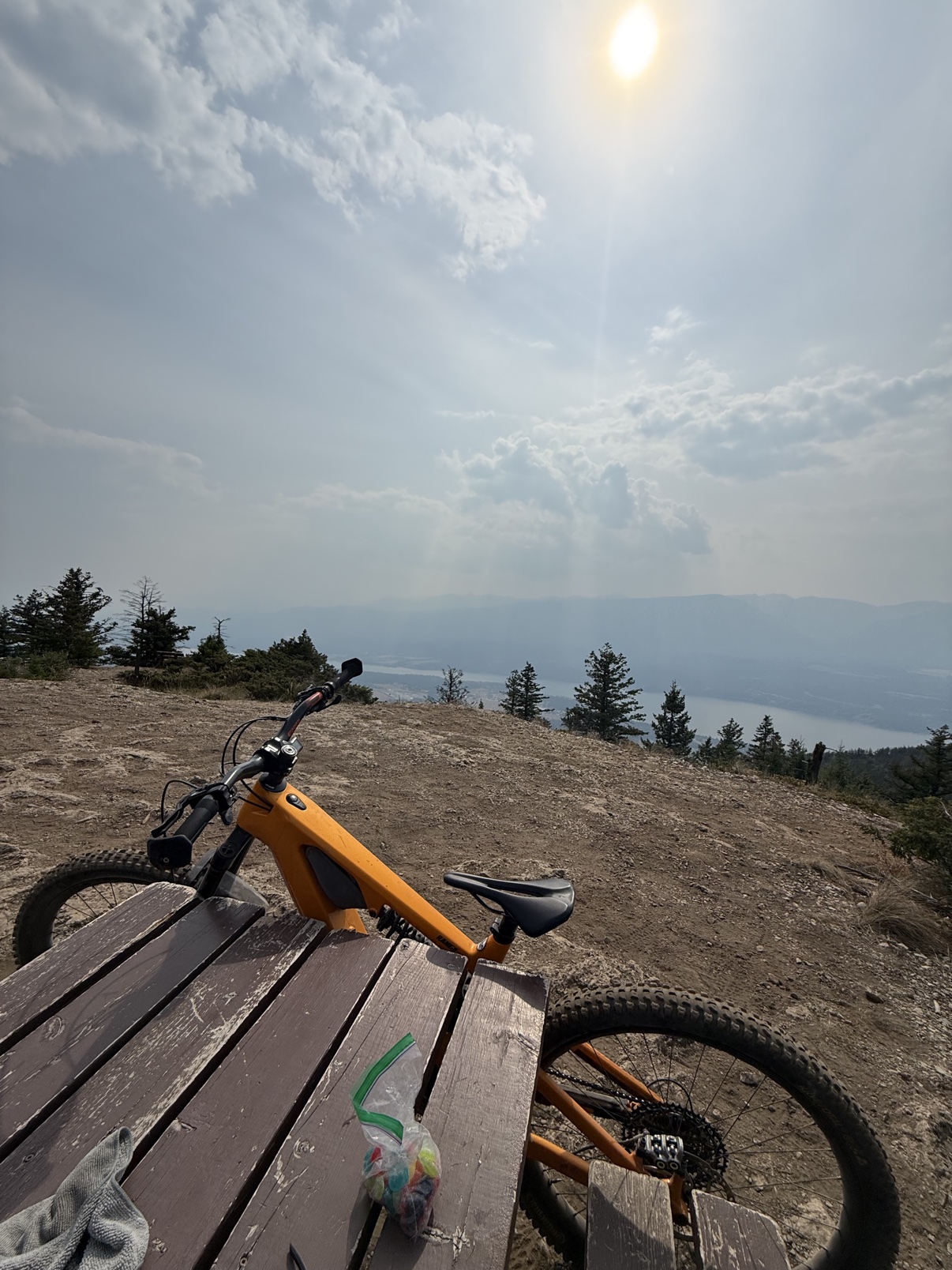 Loam Goat brake pads long-term review