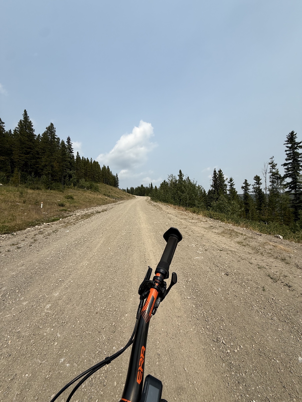 Loam Goat brake pads long-term review