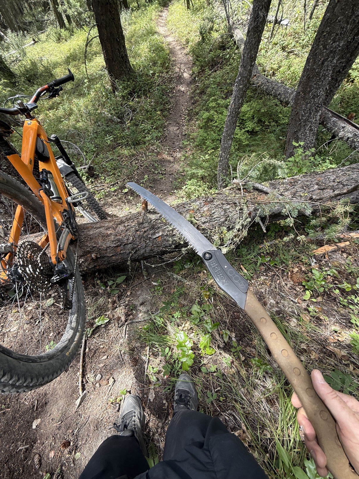 Loam Goat brake pads long-term review