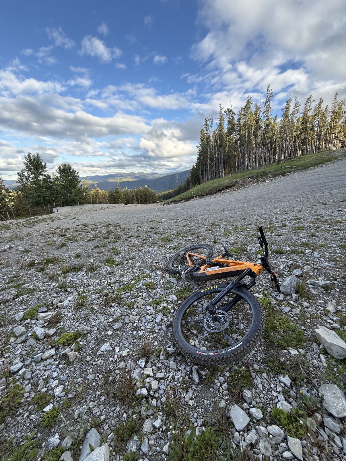 Loam Goat brake pads long-term review