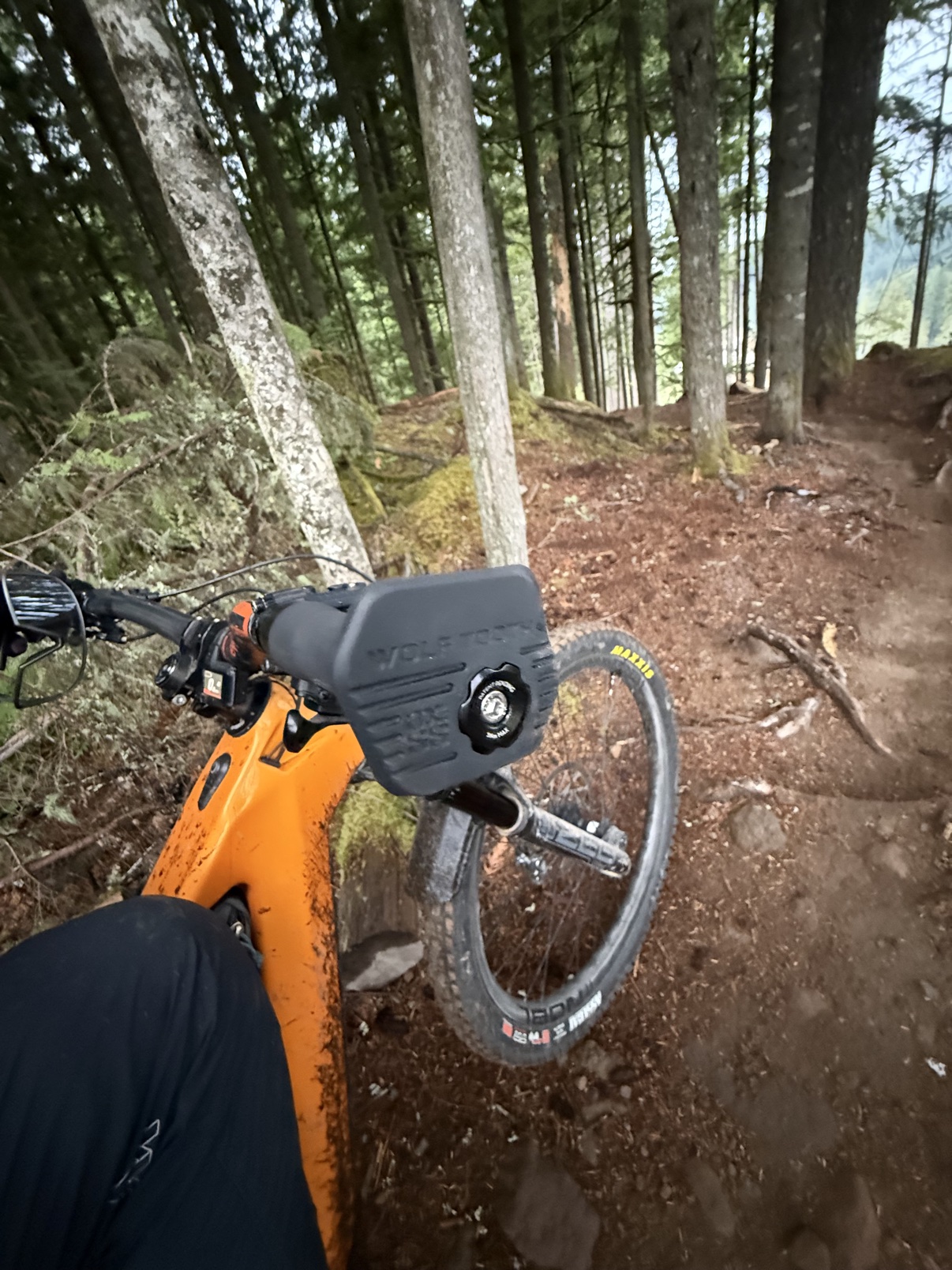 Loam Goat brake pads long-term review