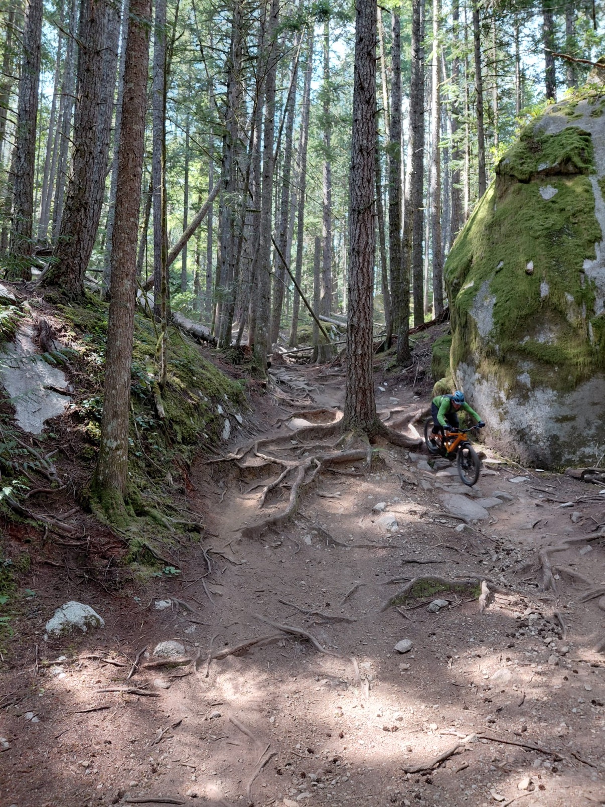 Loam Goat brake pads long-term review
