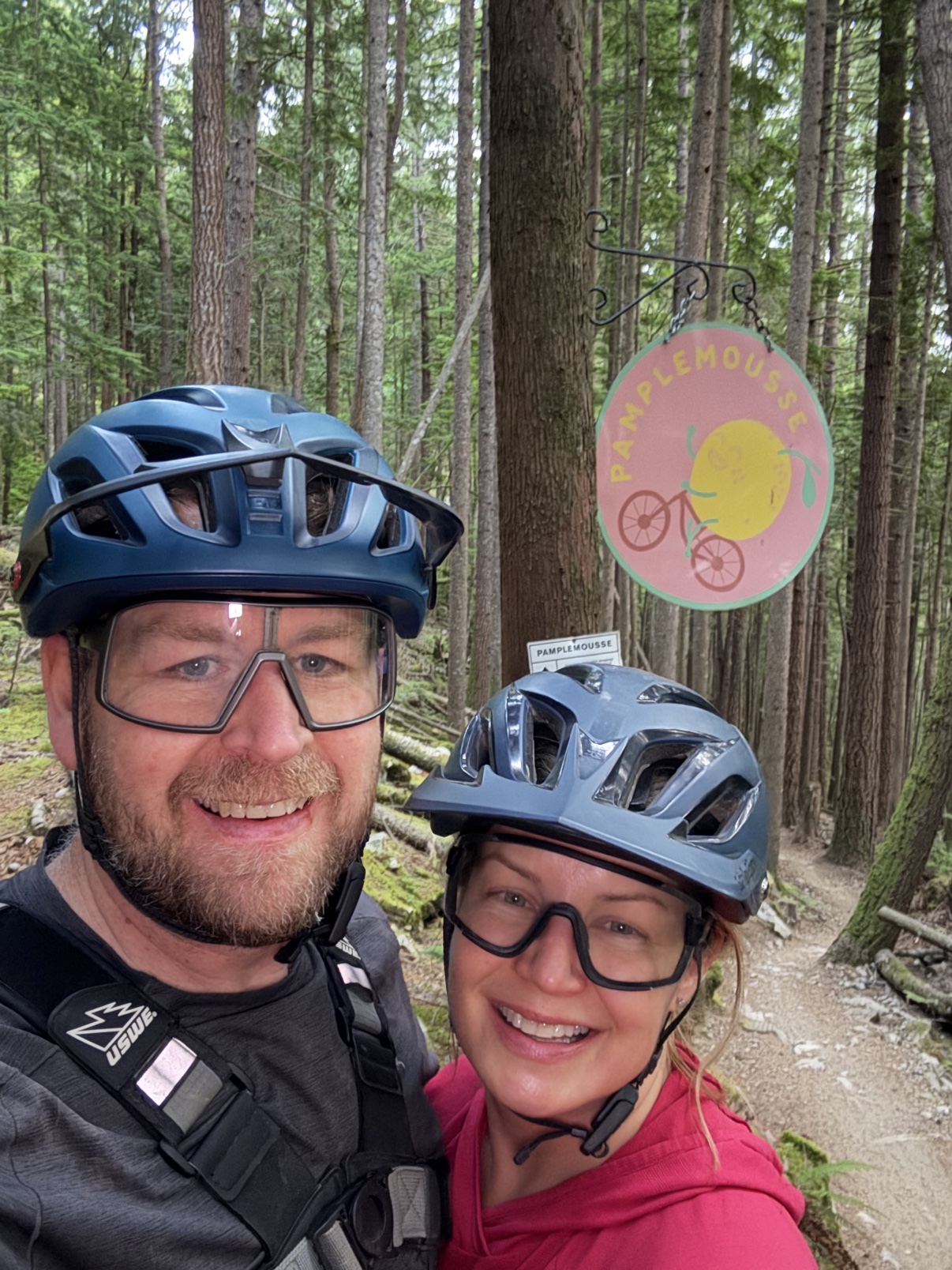 Loam Goat brake pads long-term review
